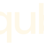 qubic-logo-white.png